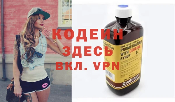 ешки Няндома