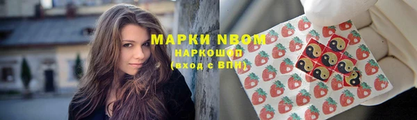 ешки Няндома