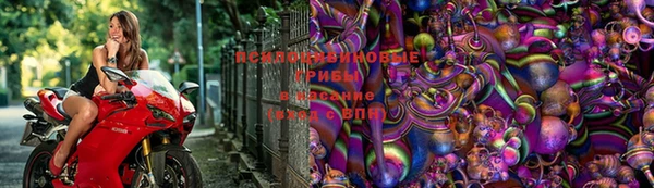 ешки Няндома