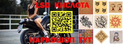 прущие грибы Жуковский