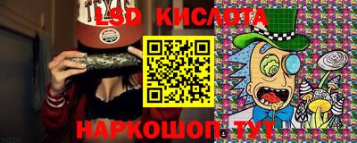 амф Заволжье