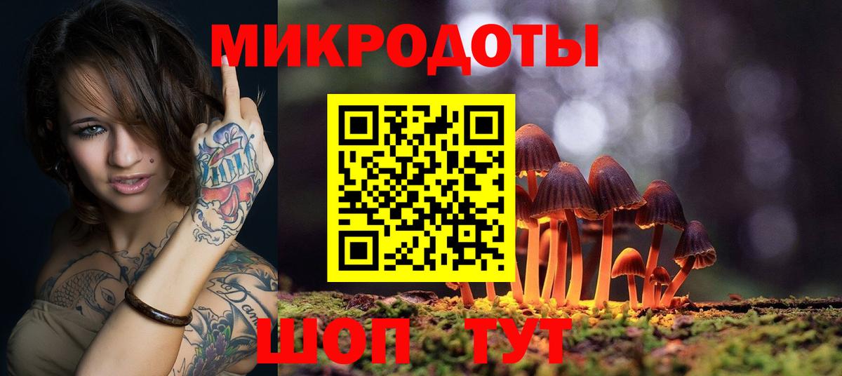 Галлюциногенные грибы Cubensis  Вход с VPN  Кунгур 